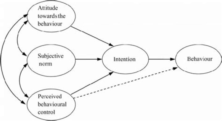 Ajzen 1991 Theory of Planned Behaviour: Full PDF Guide