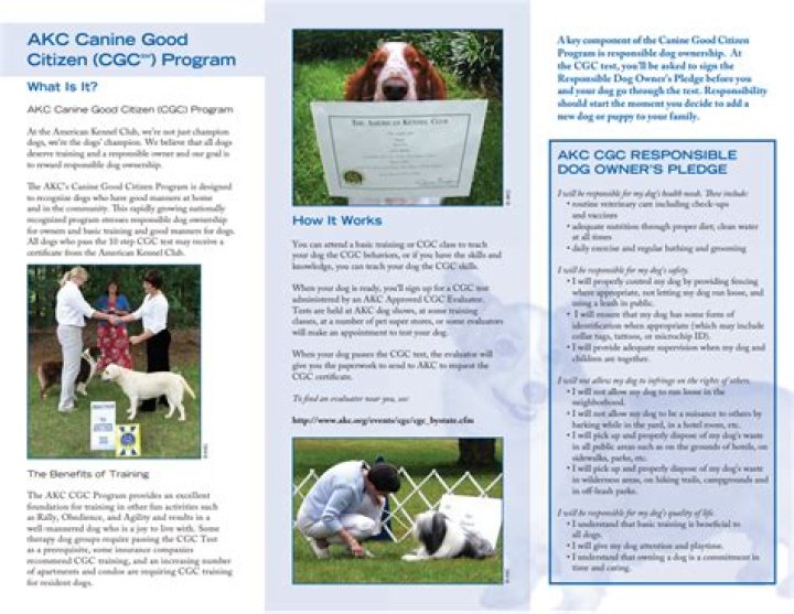 Free AKC Course List PDF: Train Your Dog with Official Resources