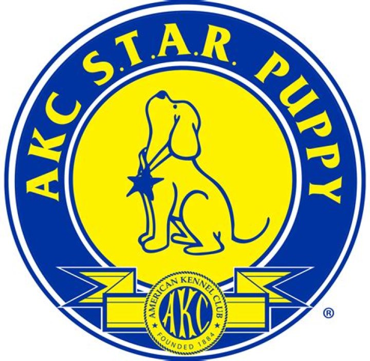 AKC S.T.A.R. Puppy Test Items PDF – Essential Checklists & Resources