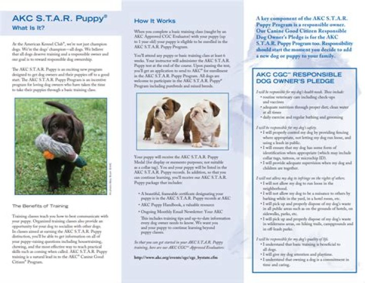 AKC Star Puppy Test Items PDF – Essential Testing Checklist for New Puppies