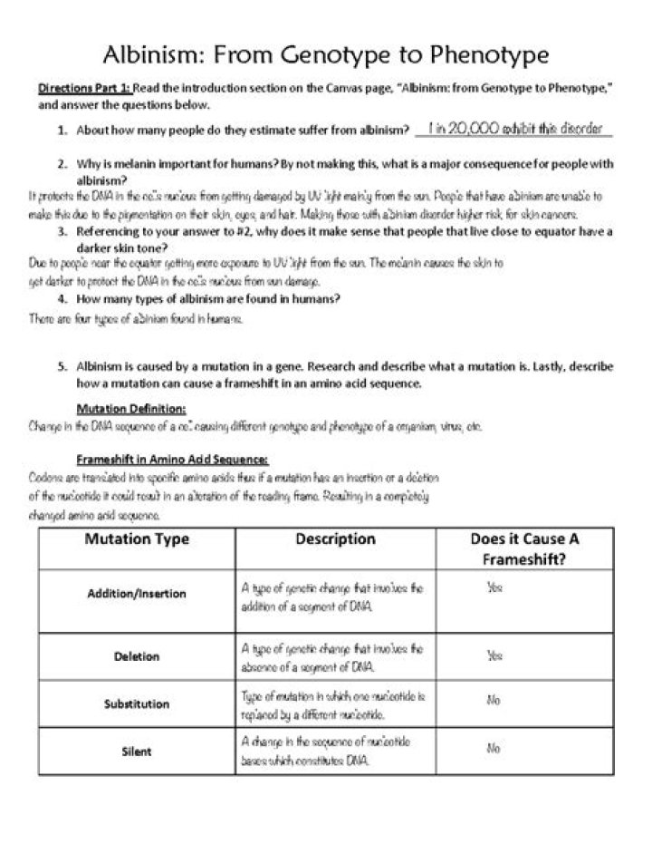 Albinism Genotype to Phenotype Answer Key PDF – Complete Guide