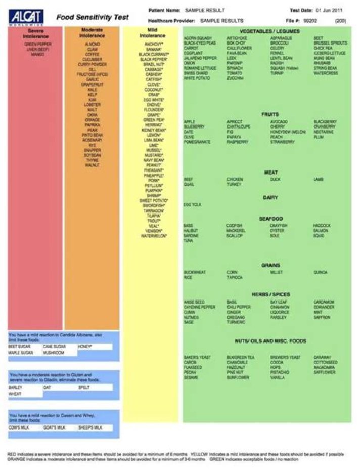 Alcat Food Test Panels PDF: Essential Guide to Accurate Food Allergy Testing