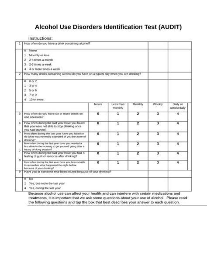 Alcohol Use Disorders Identification Test Audit PDF: Reliable Screening Tool