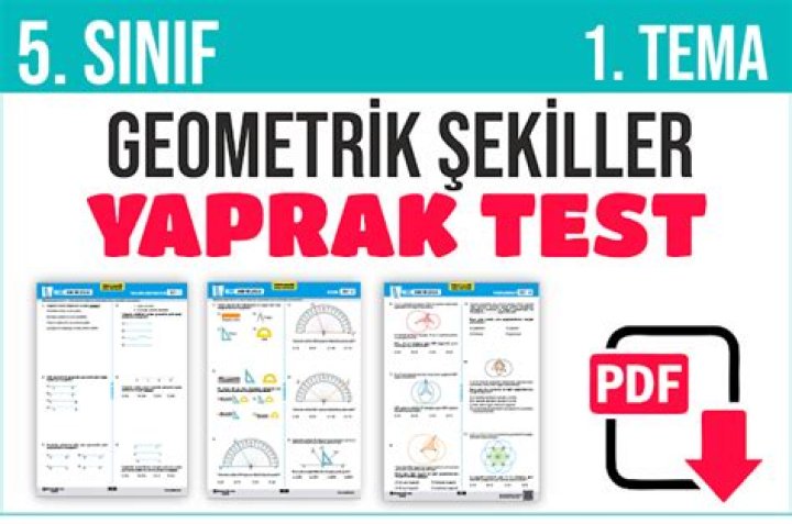 Ales Yaprak Test PDF İndir – İyi Kalite Tekstör İndirme Guvence
