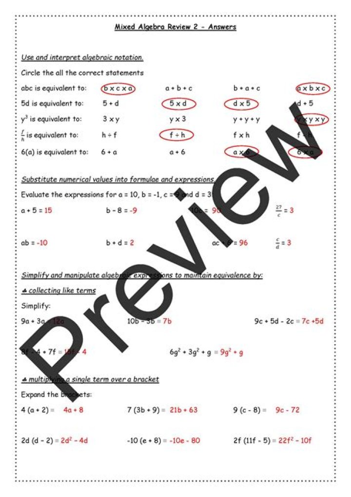 Algebra Review Worksheet PDF for Easy Practice