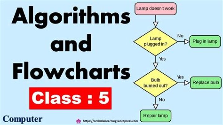 Master Algorithm & Flowchart Questions and Answers PDF Guide