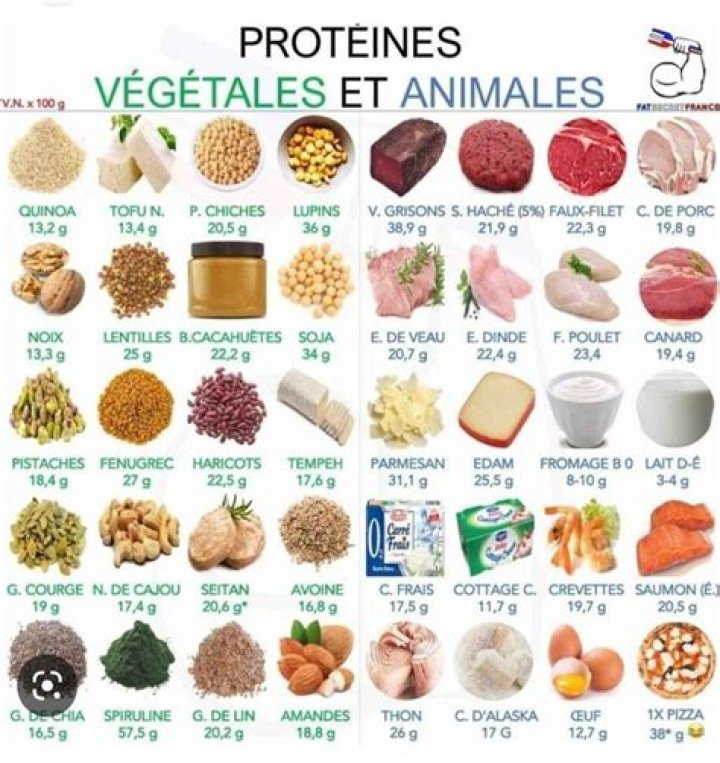Aliments Riches en Protéines : Liste Complète en PDF à Télécharger