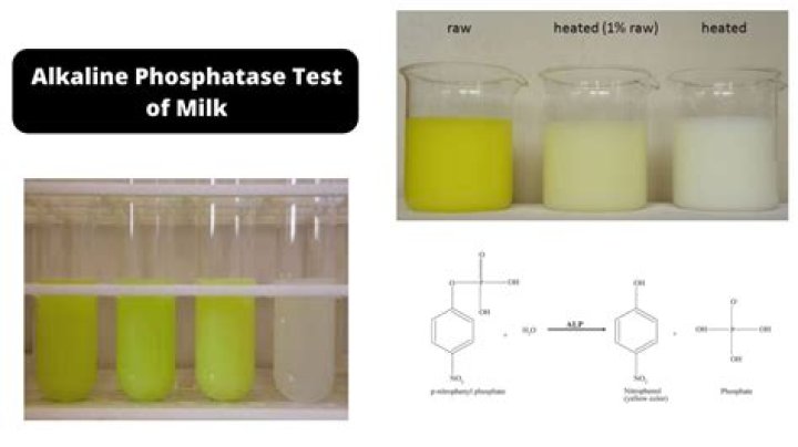 Alkali Denaturation Test PDF: Accurate Lab Protocol & Results