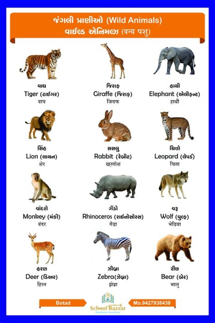 All Animals List PDF: Complete Guide to Every Animal Species