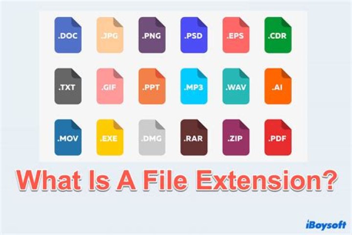 Complete List of All File Extension Types in PDF Format