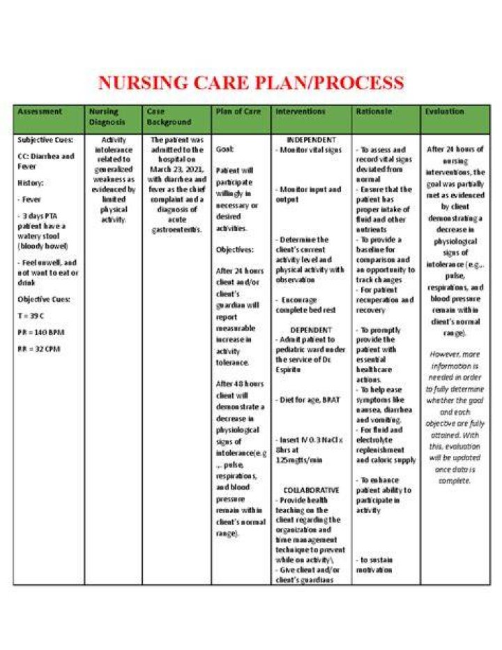 All-In-One Nursing Care Plan PDF – Comprehensive Patient Care Documentation