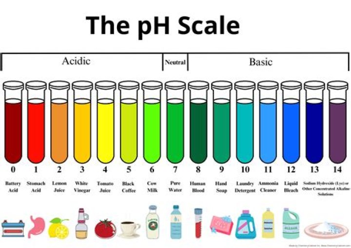 All PH Value List PDF – Download Complete Testing Data