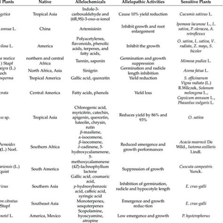 Allelopathic Plants List PDF: Discover Which Plants Suppress Growth