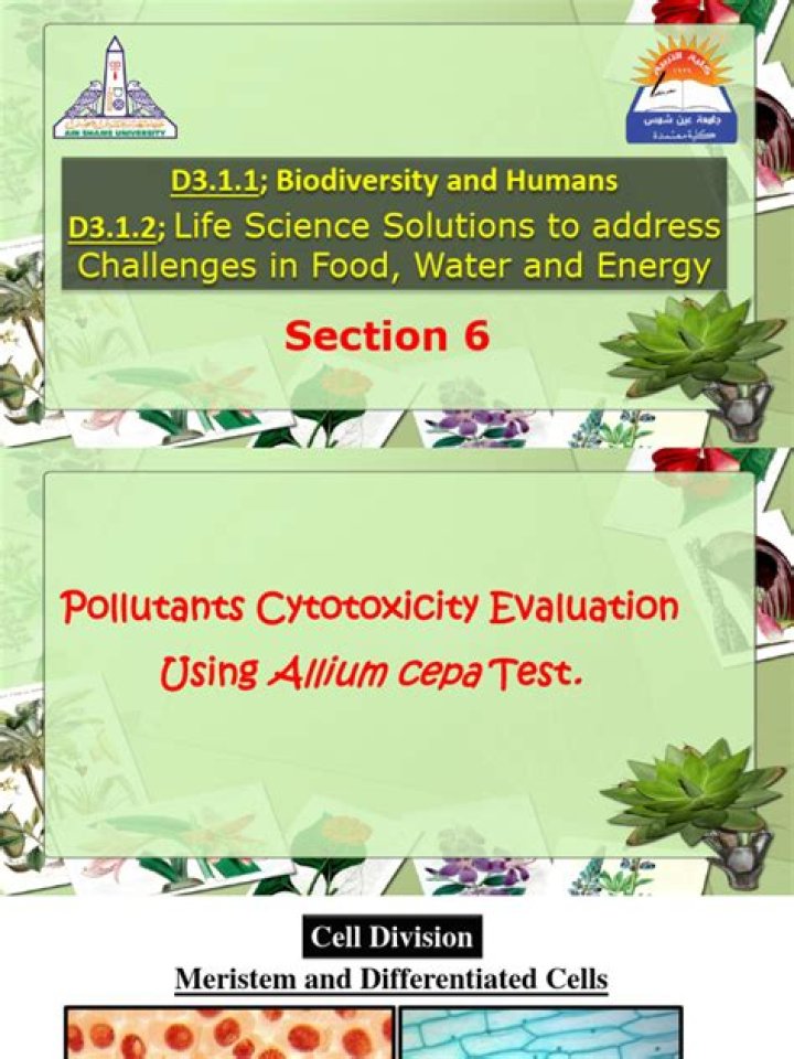 Allium Cepa Test PDF: Free Analysis & Results