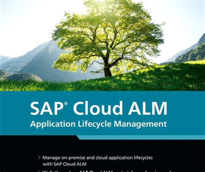 Alm Application Lifecycle Management: PDF Guide for Seamless Software Processes