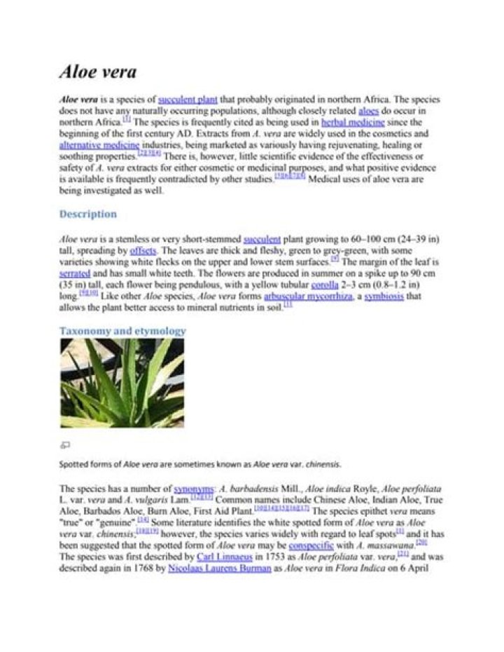 Complete Aloe Vera Business Plan PDF – Start Your Sustainable Skincare Venture