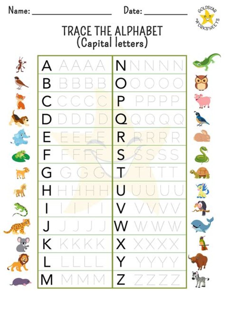Alphabet Letter Tracing Worksheets PDF for Kids
