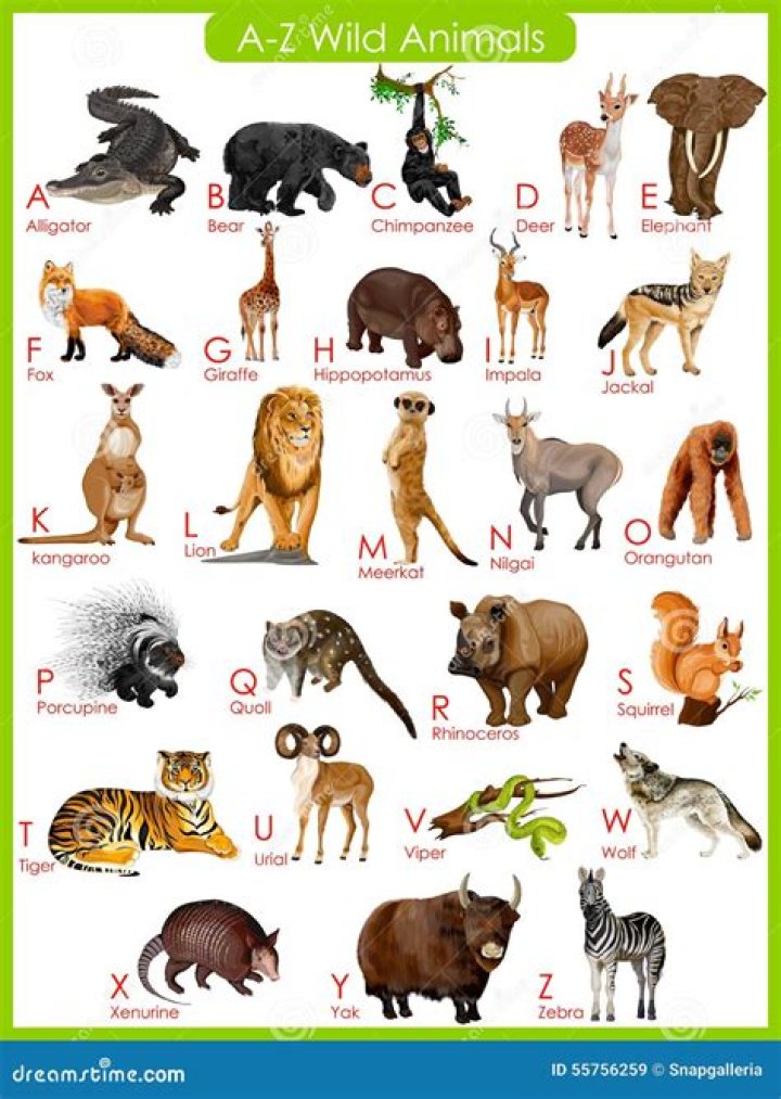Alphabetical Animal List PDF: Complete Guide to Every Animal