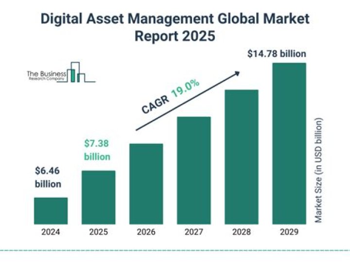 Alternative Asset Management Industry PDF: Trends, Insights & Strategy Guide