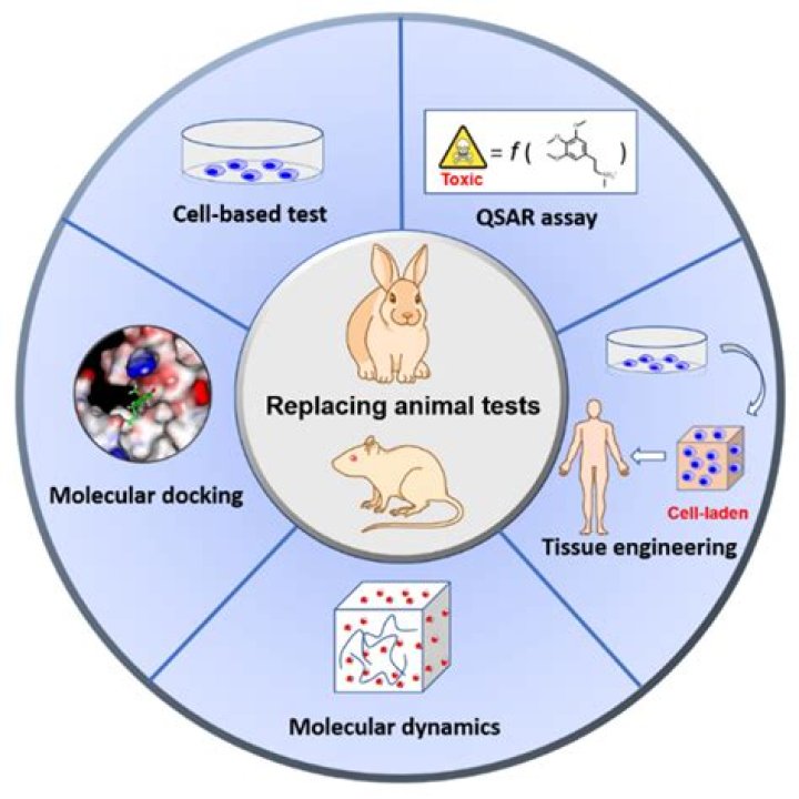 Alternative Methods to Animal Toxicity Testing: Free PDF Guide