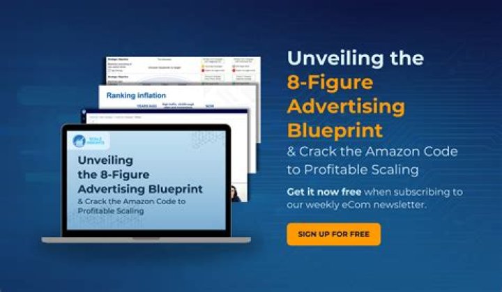 Amazon 1 BSR List November 2018 PDF – Complete Data Summary