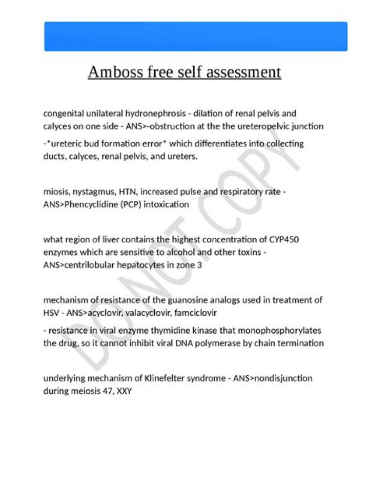 Ethics Questions for Amboss: Key Discussion Points PDF