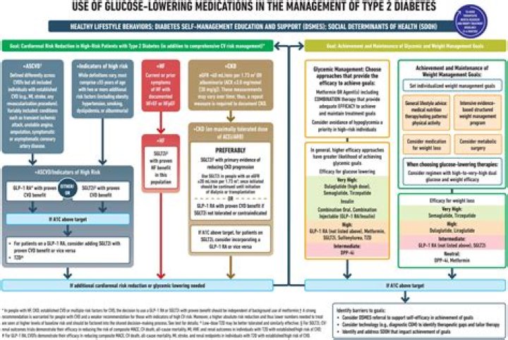 American Diabetes Association Management Guidelines PDF – Official 2024 Edition