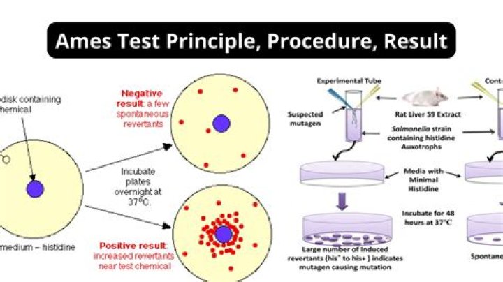 AMES Test Procedure PDF: Step-by-Step Guide & Download
