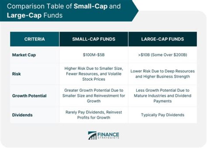 AMFI Large, Mid, and Small Cap List for July 2025 – PDF Analysis