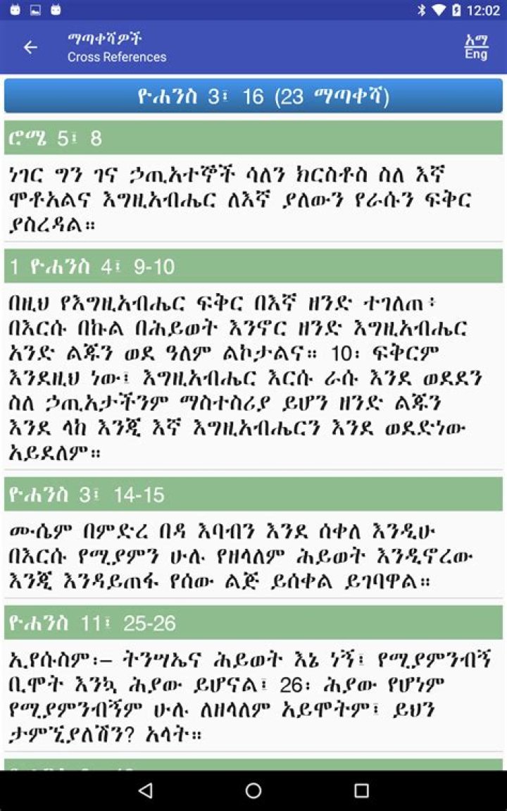 Amharic Bible Study Questions & Answers PDF – Study Guide