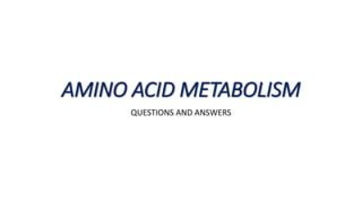 Amino Acid Metabolism Questions and Answers PDF: Expert Answers
