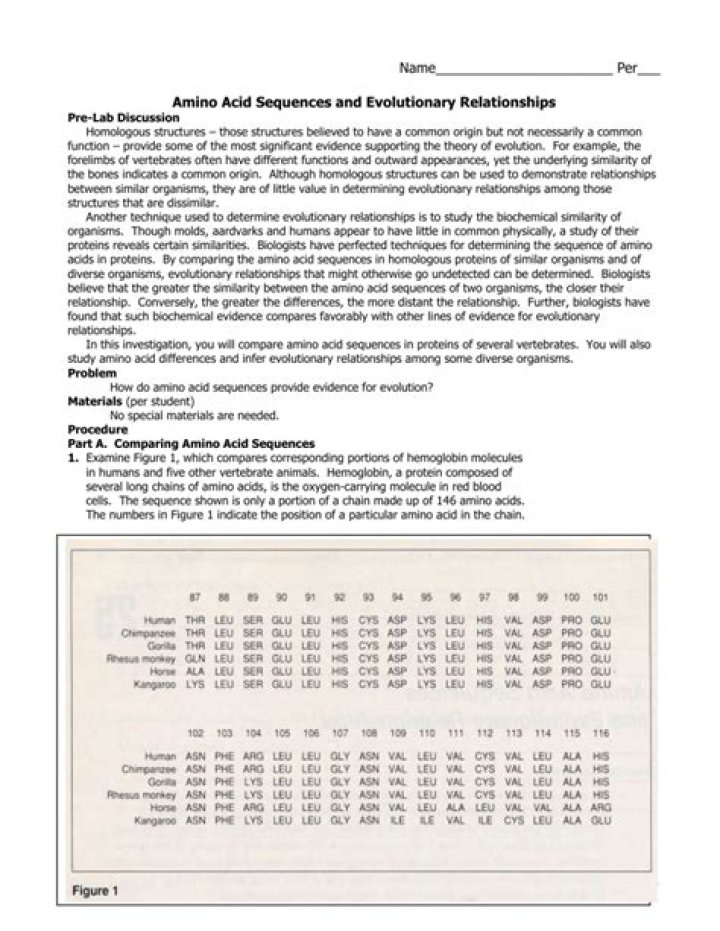 Amino Acid Sequences and Evolutionary Relationships Answer Key PDF