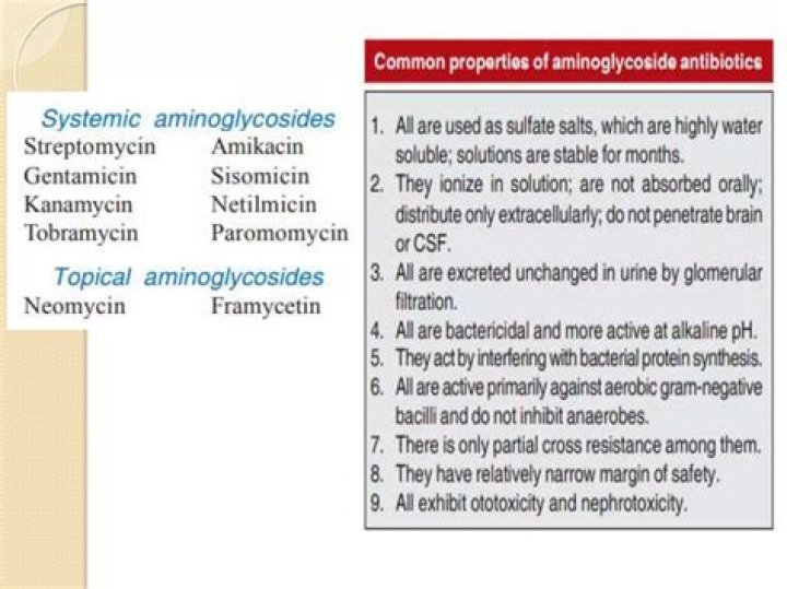 Aminoglycosides List PDF: Complete Guide & Safety Info