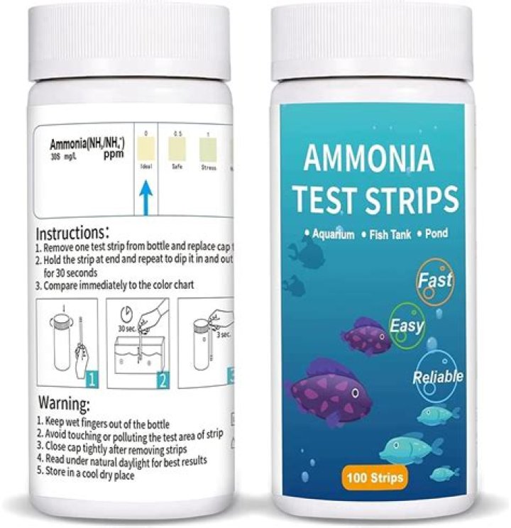 How to Perform an Ammonia Test in Water – Download the Free PDF Guide