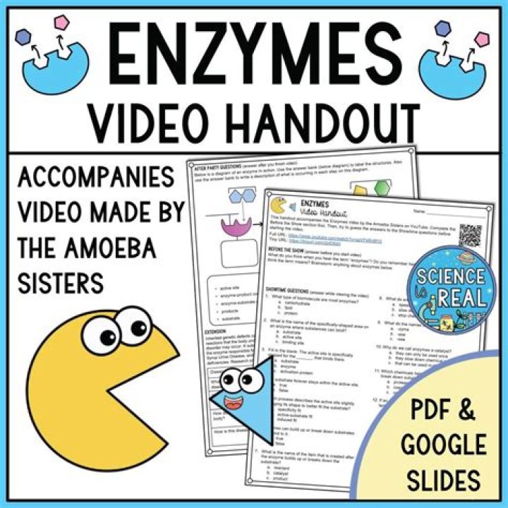 Amoeba Sisters Enzymes Worksheet Answers PDF – Free Download