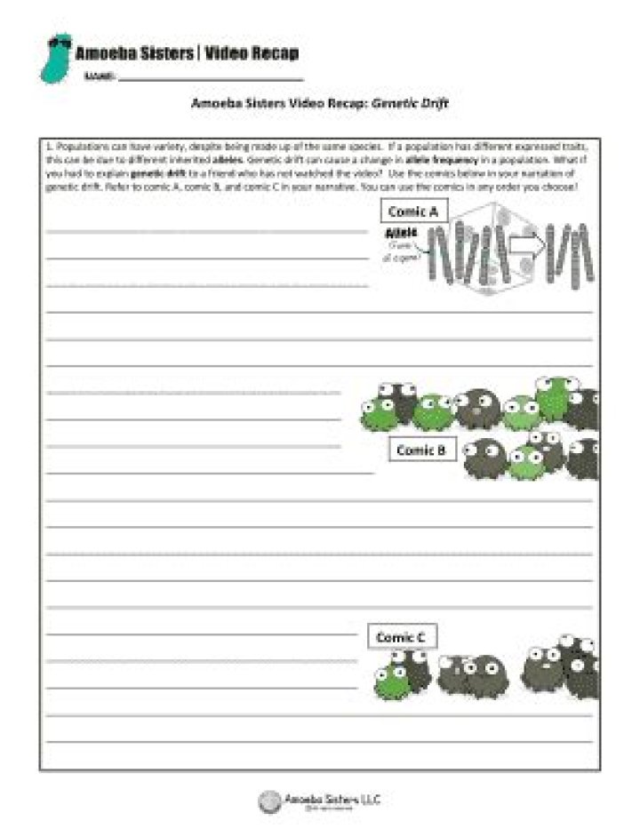 Amoeba Sisters Genetic Drift Answer Key PDF: Full Solution Guide