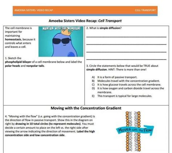 Amoeba Sisters Mutations Worksheet Answer Key PDF – Instant Graded Answer Sheet