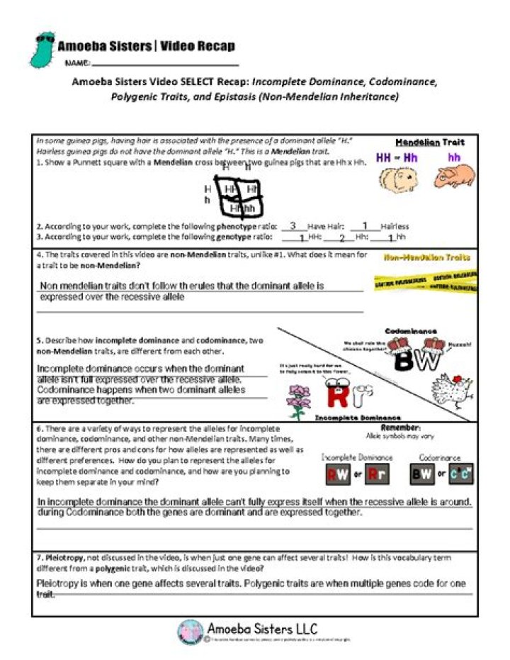 Amoeba Sisters: Ecological Succession Explained – Video Recap & Answers PDF