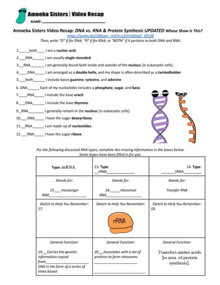 Amoeba Sisters: Genetic Drift Explained in Video Recap & Answer Key PDF