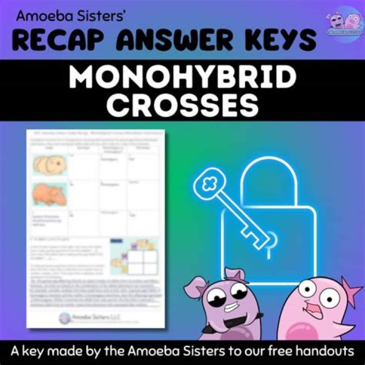 Amoeba Sisters: Monohybrid Crosses Explained – Video Recap & Answer Key PDF