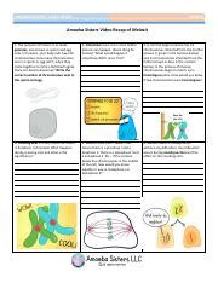 Amoeba Sisters Video Recap of Meiosis Answers PDF