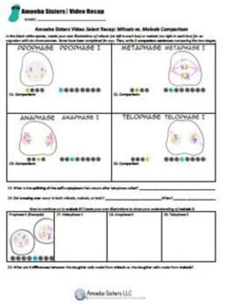 Amoeba Sisters Mitosis Video Recap & Answer Key PDF