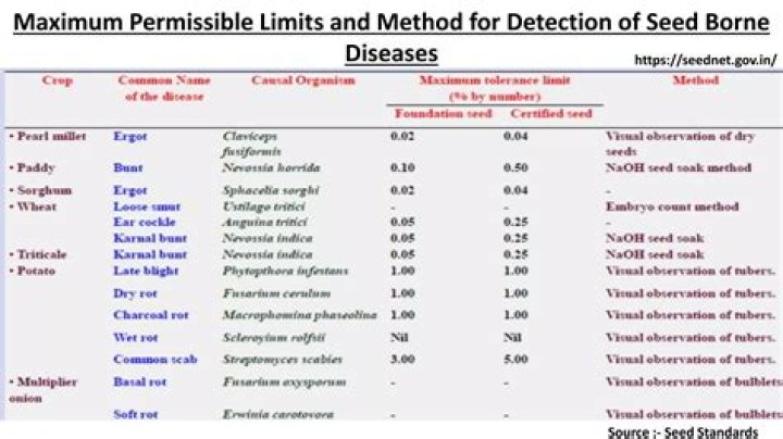 An Annotated List of Seed-Borne Diseases: Comprehensive PDF Guide
