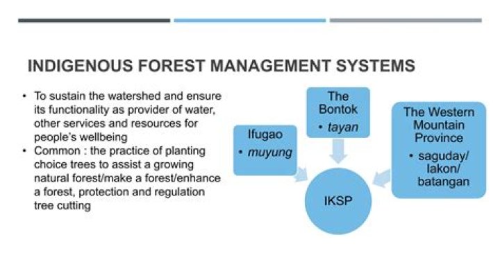 Assessment of Traditional Forest Management Practices in Ethiopia PDF