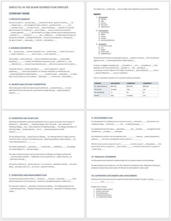 An Example of a Business Plan PDF for Instant Download