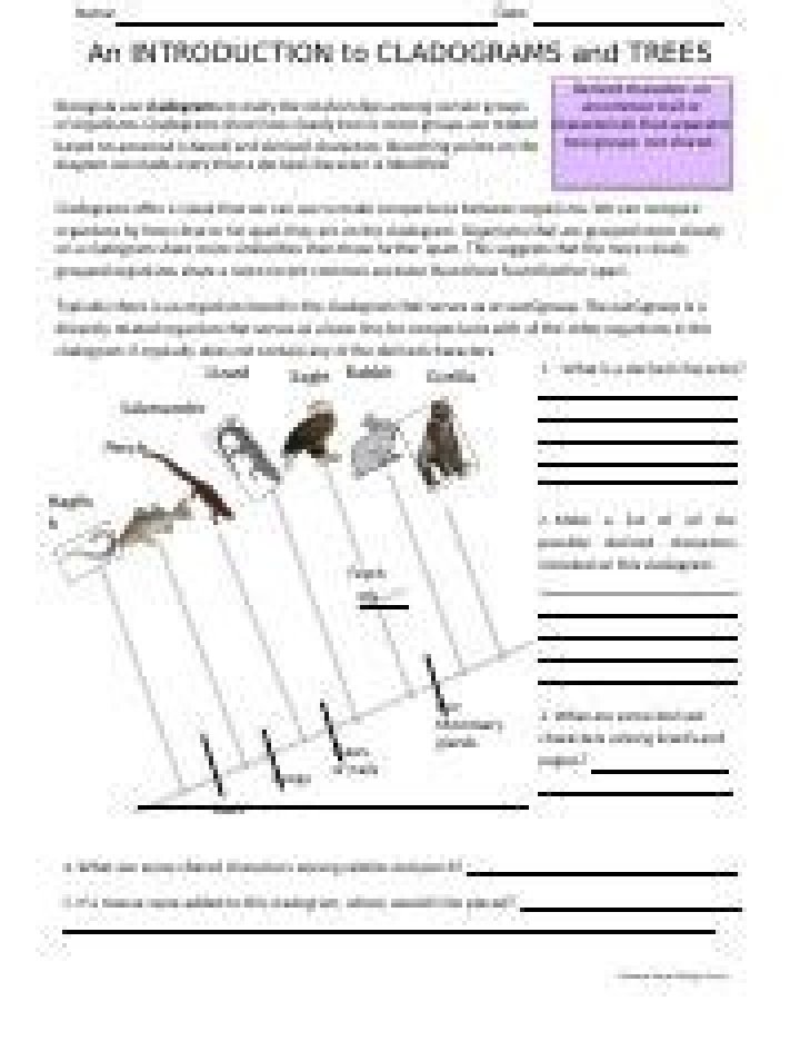 Introduction to Cladograms and Trees: Answer Key PDF for Students