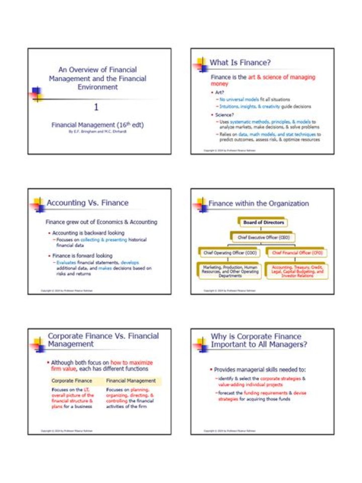 An Overview of Financial Management and the Financial Environment PDF