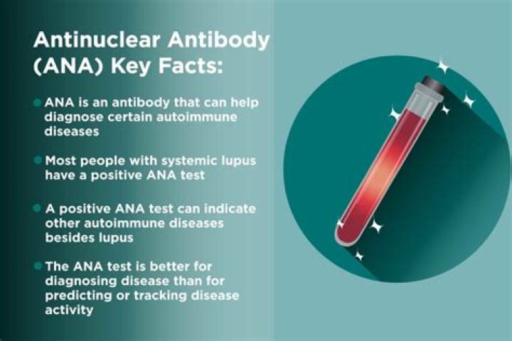 Ana Test Procedure PDF: Complete Guide & Downloadable Results