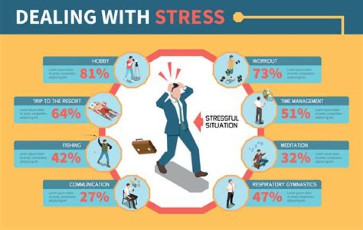 Comprehensive Analysis of Stress Management in Companies PDF Guide