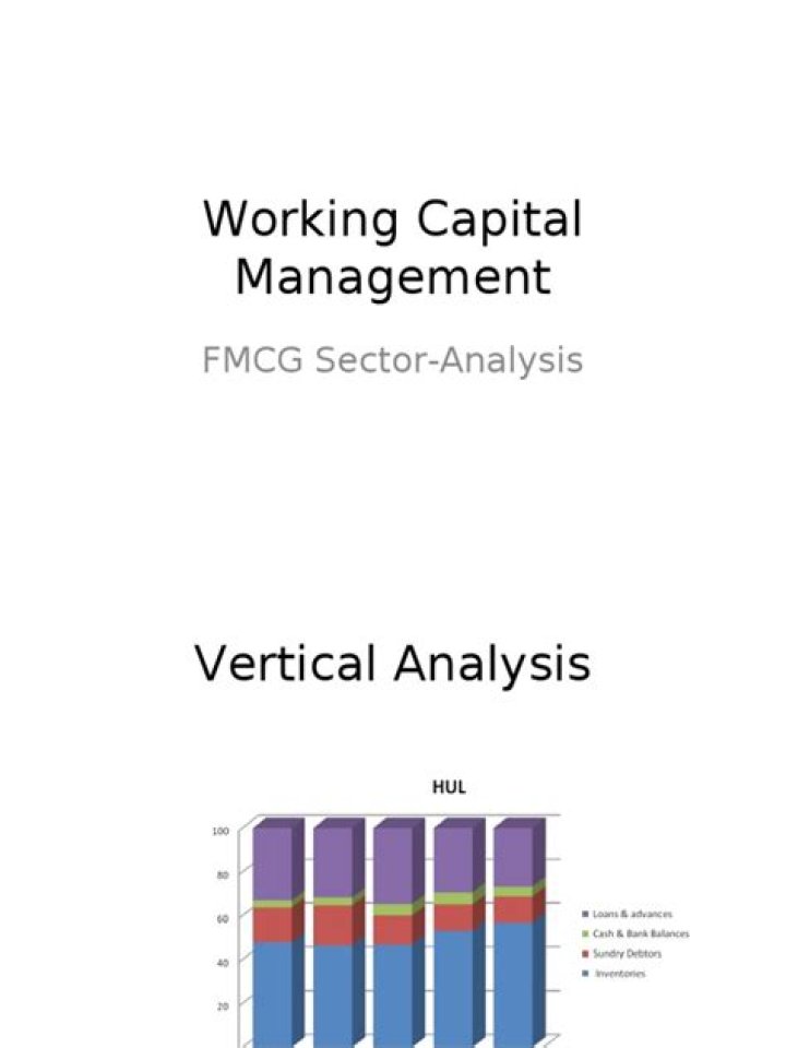 Master Working Capital Management: Essential PDF Analysis & Strategies